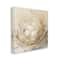 Stupell Industries Abstract Baby Bird Egg Nest Countryside Animals Canvas Wall Art